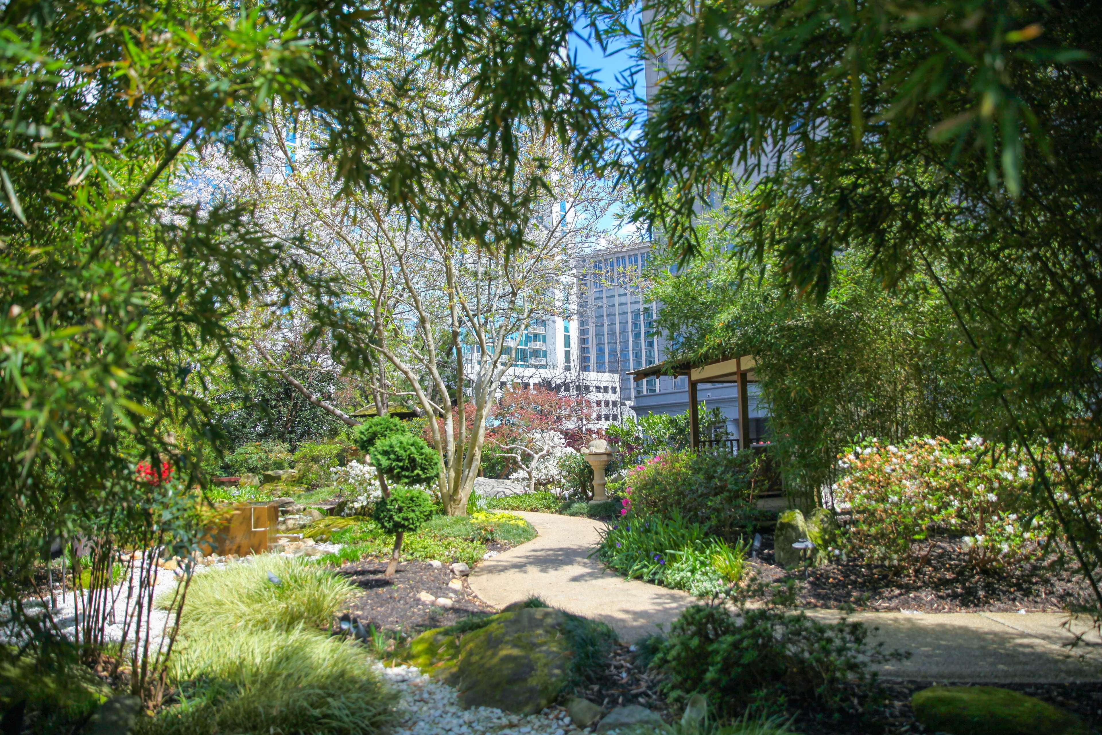 Grand Hyatt Atlanta In Buckhead Hotel Eksteriør billede